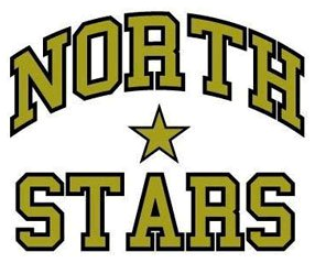 Thunder Bay North Stars 2010-2012 Primary Logo iron on heat transfer
